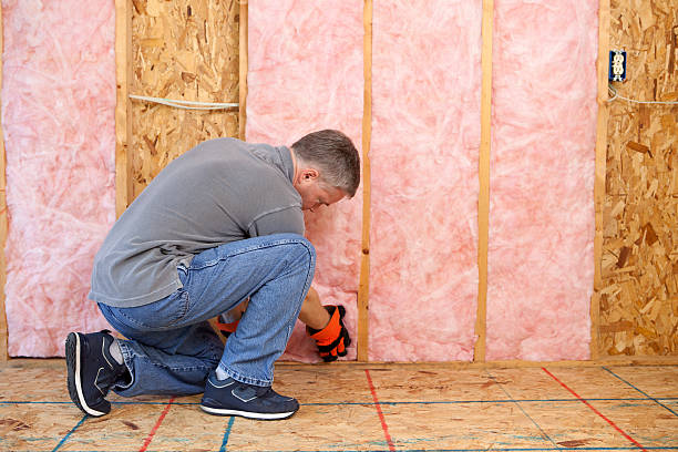 Best Insulation Contractors for Homes  in Lemmon Valley, NV