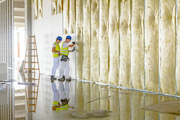 Best Commercial Insulation Contractor  in Lemmon Valley, NV